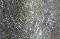 Harbours Hill fibreglass roof work